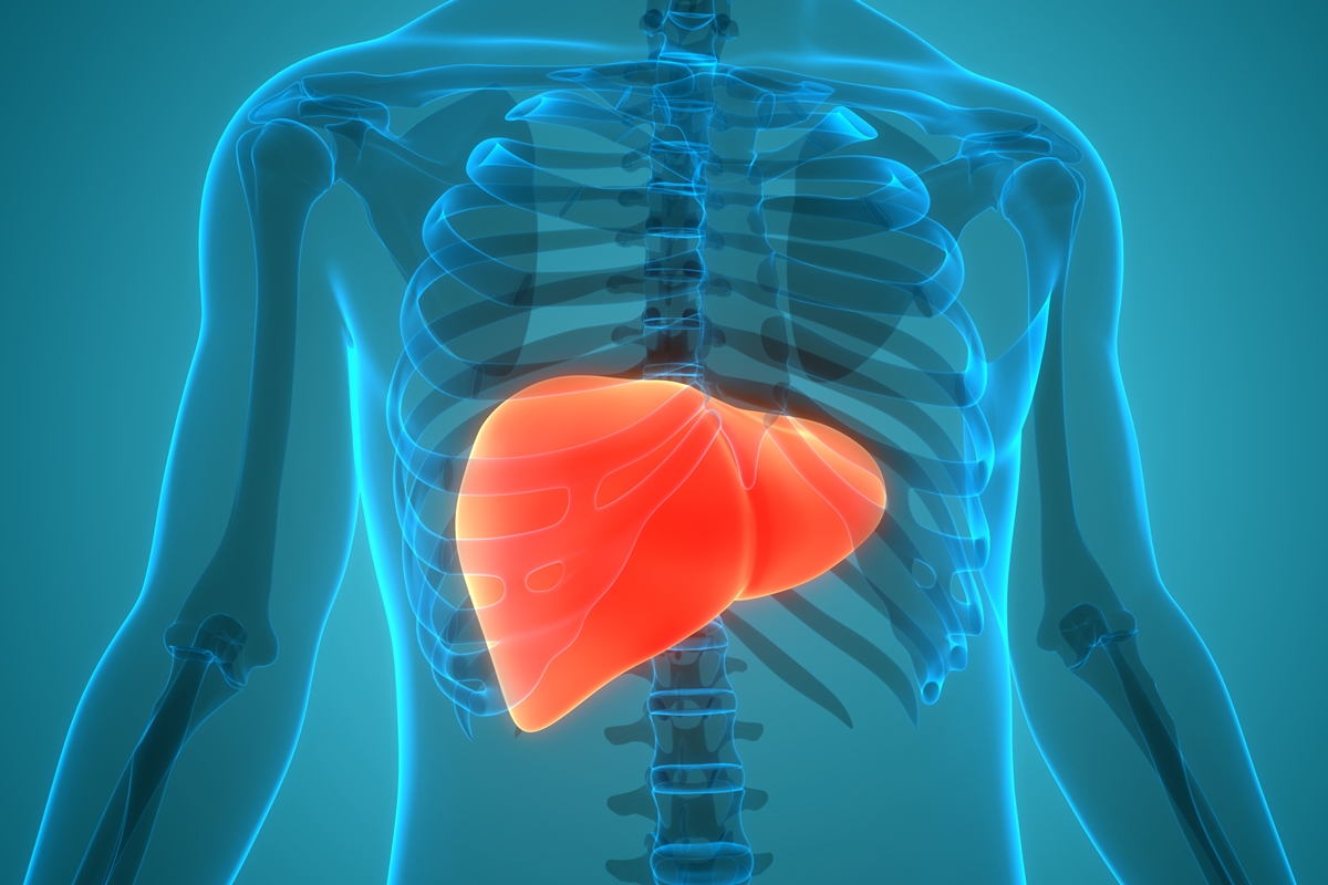 Hepatologista lista alimentos para cortar da dieta e proteger o fígado