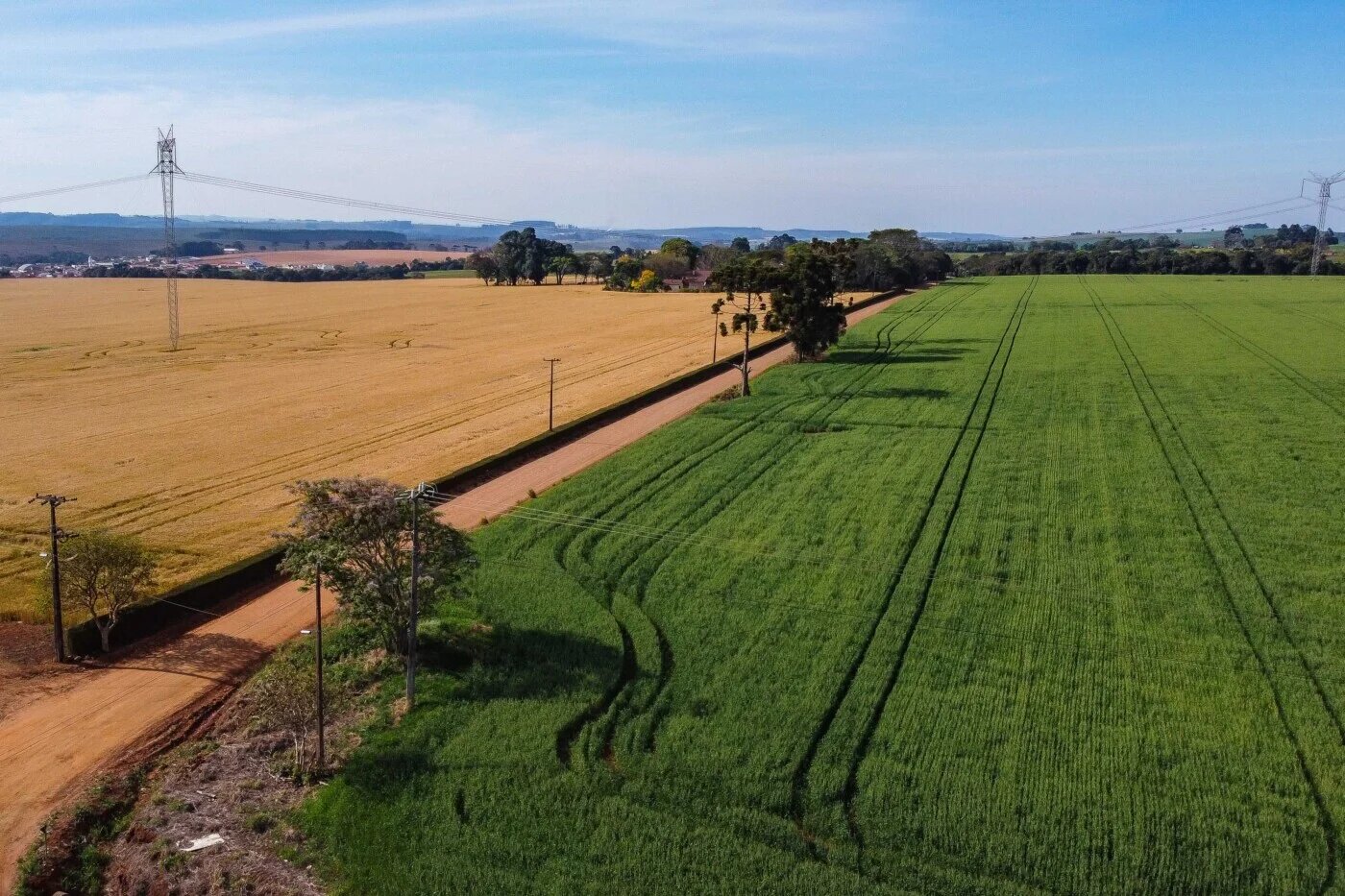 Metade das propriedades rurais de São Paulo já está em dia com a regularização ambiental