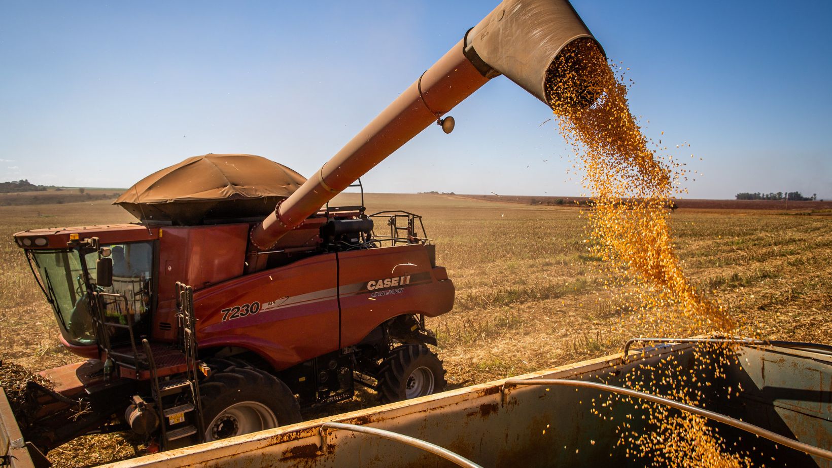 Fundos aumentam aposta na alta da soja na CBOT na semana até 2 de dezembro