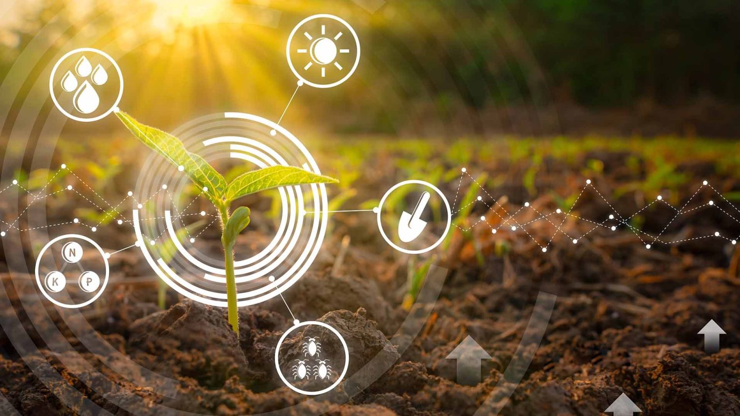 Faturamento de bioinsumos no Brasil aumenta cinco vezes em cinco anos e deve manter crescimento em alta