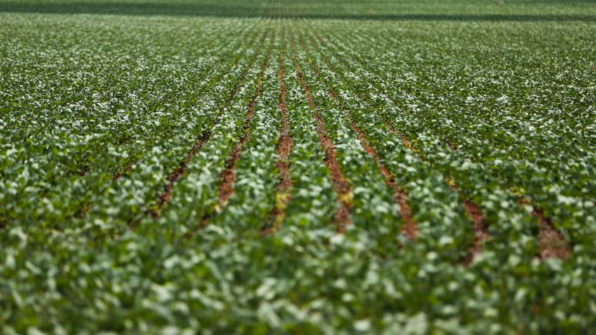 Agro critica corte de benefícios fiscais pelo PLP 128 de 2025