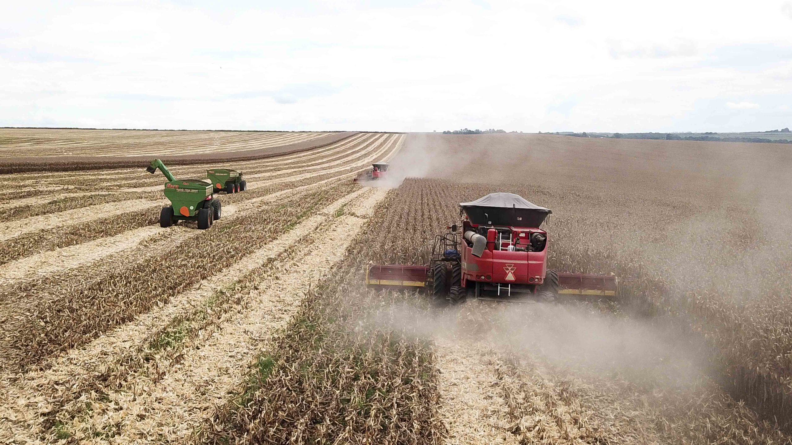 STF considera constitucional incentivo fiscal a agrotóxicos