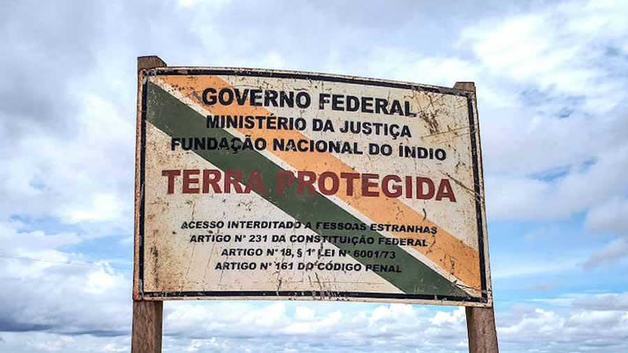 Marco temporal: STF permite que qualquer terra pode ser reivindicada como indígena, diz advogada