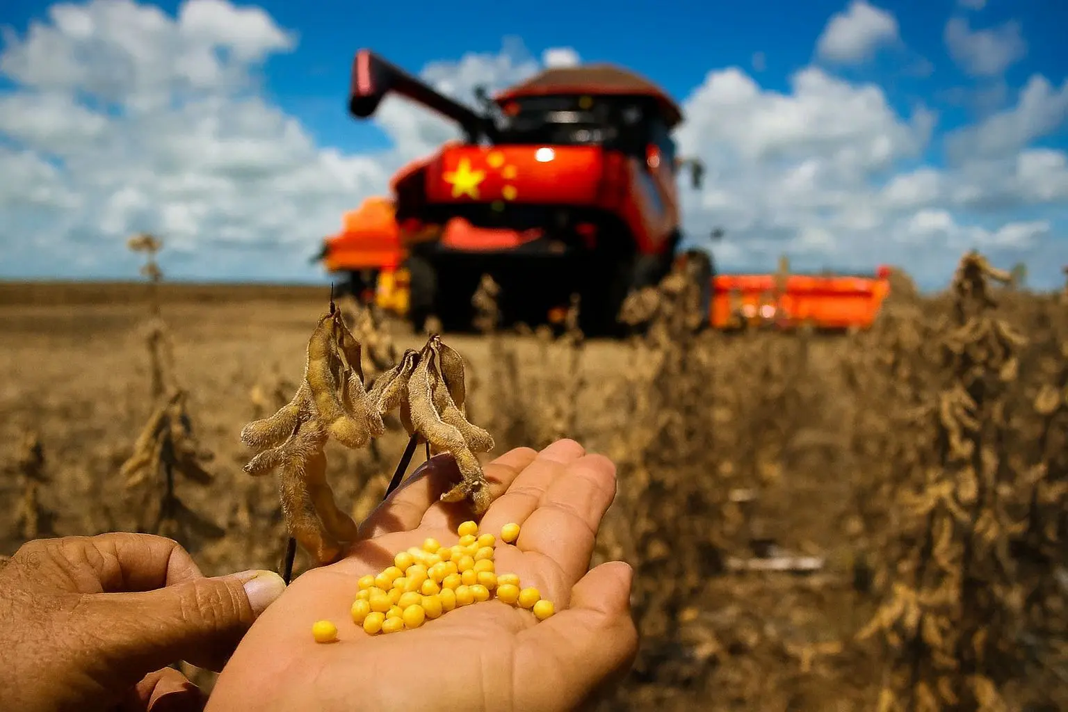 Retro 2025: Gigante chinesa autoriza compra de terras no Brasil para iniciar plantio de grãos