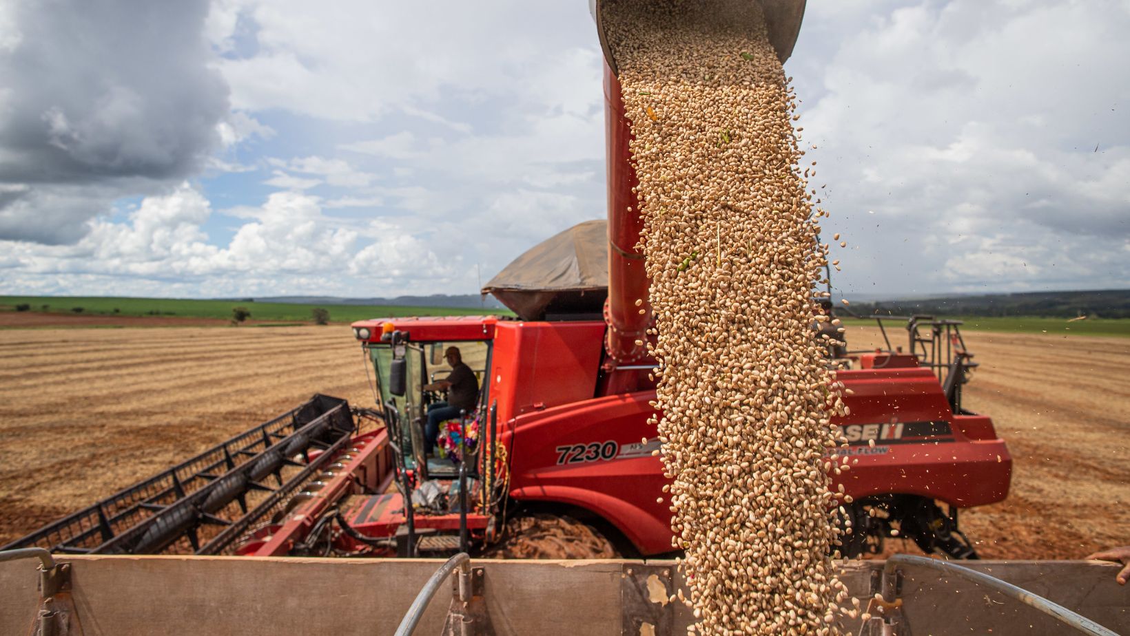 CNA defende avanço nos padrões de qualidade para feijão e pulses