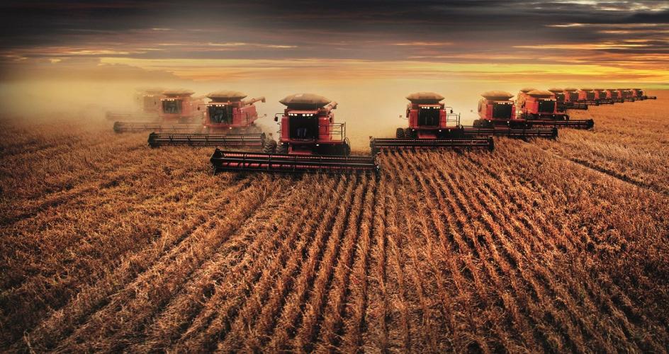 Mesma estrutura, resultados opostos: o que realmente define o sucesso de uma fazenda?