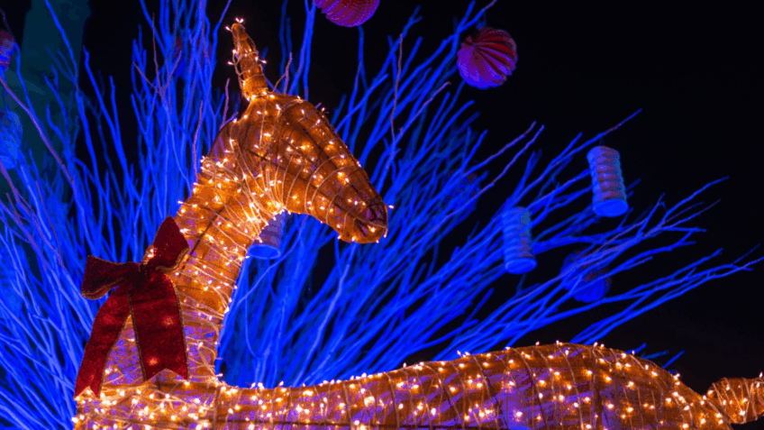 Pelo menos 1/3 das cidades turísticas de SP terão eventos de Natal