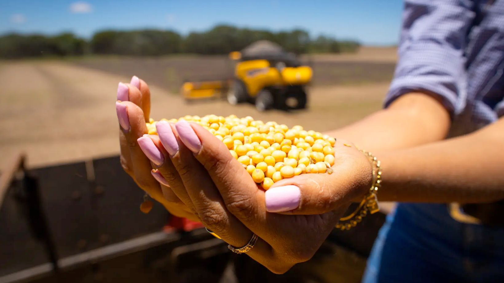 Fundos reduzem aposta na alta da soja na CBOT na semana até 9 de dezembro