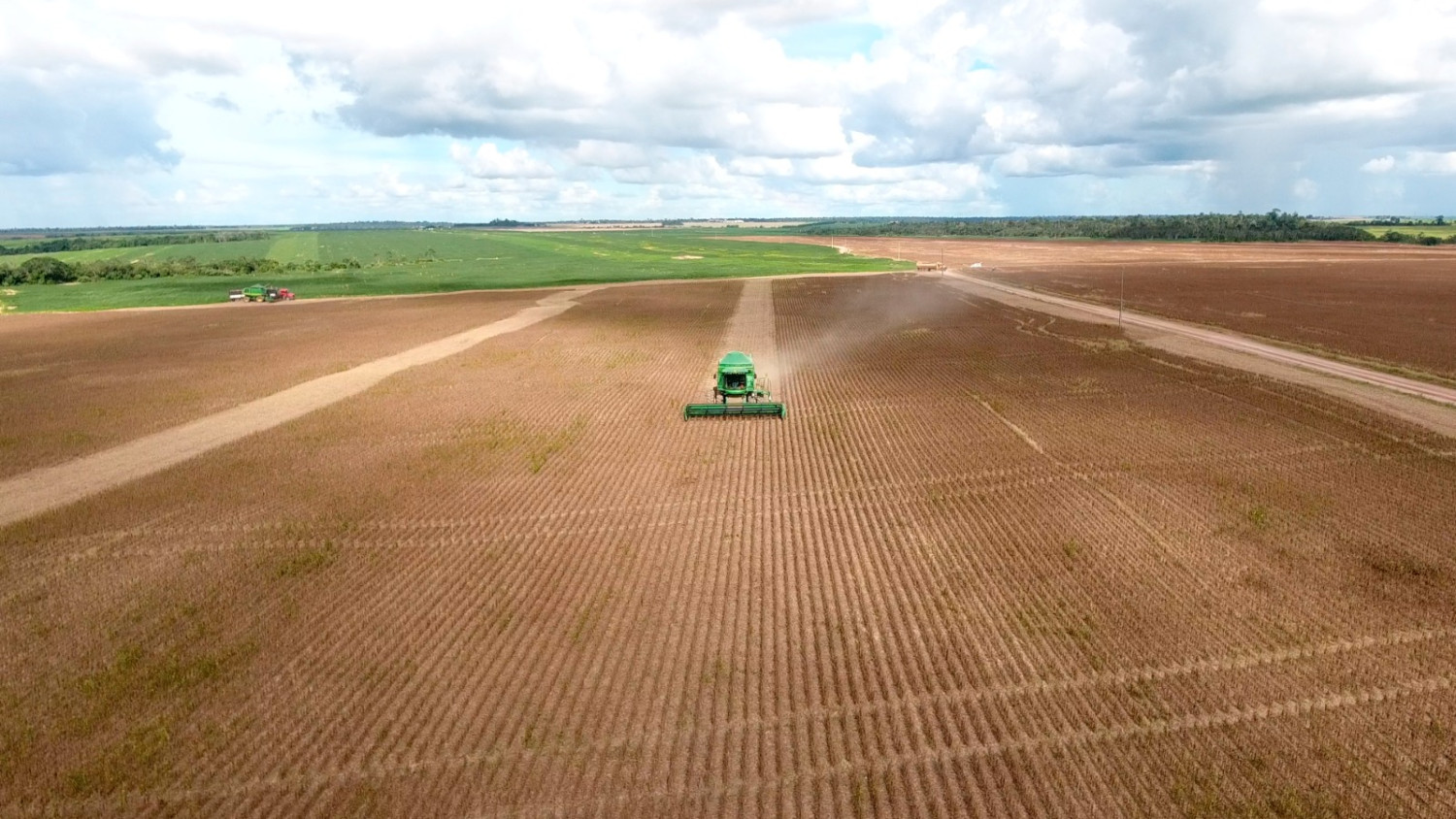Agroindústria tem ligeira alta de 0,8% em outubro de 2025, ao comparar com o mesmo mês do ano passado, revela o FGVAgro