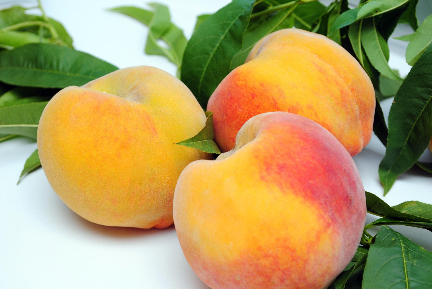 Conab anuncia R$ 4 milhões para compra de pêssego de produtores gaúchos