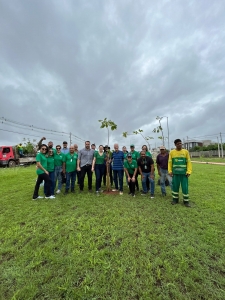 Michelly Alencar realiza plantio de 260 mudas de ipês na rodovia Helder Cândia
