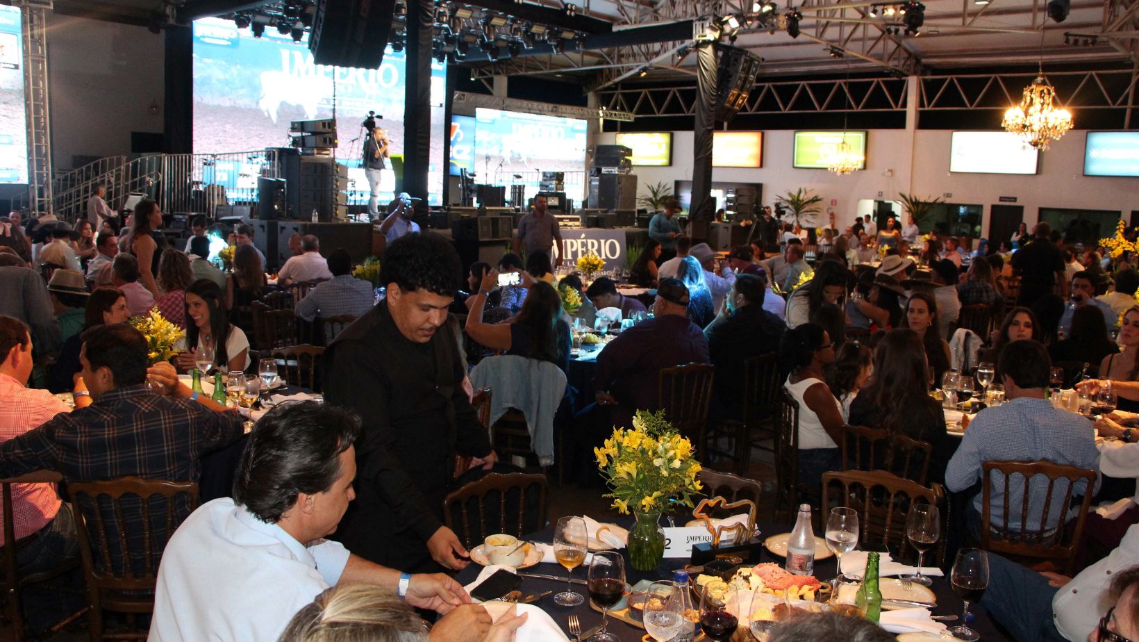 Maiores compradores e vendedores de bovinos de 2025 em leilões são premiados