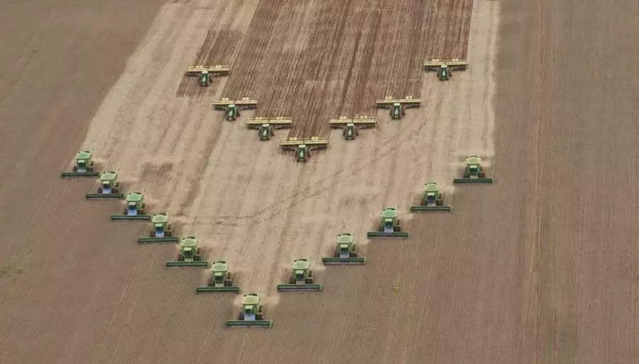 Conab: semeadura da soja 2025/26 atinge 97,6% da área; milho 1ª safra vai a 82%