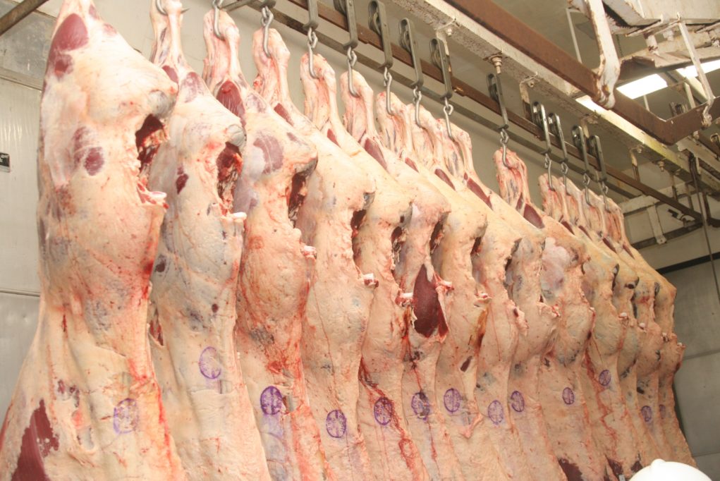 Exportações de carnes de Mato Grosso crescem quase 50% em 2025