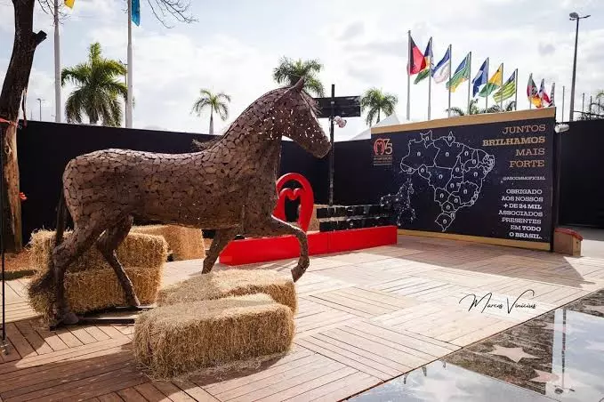 Conheça os melhores cavalos Mangalarga Marchador de 2025 eleitos na Nacional da raça