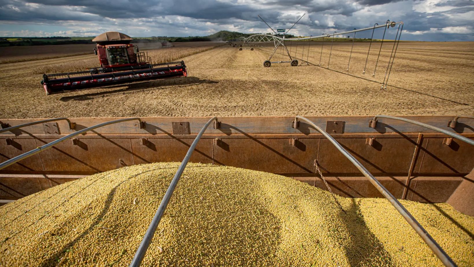 Golpe de R$ 9 milhões: agricultores são indiciados por desvio de soja em Mato Grosso