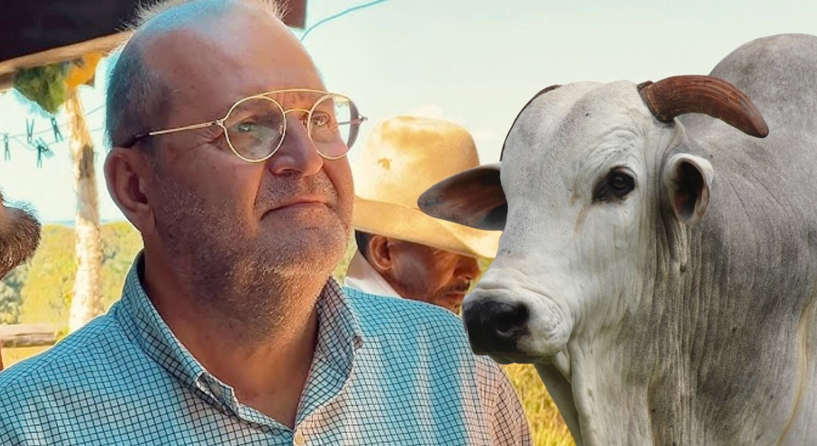 Segredo da lucratividade na pecuária: “Não preocupa quanto produz, mas quanto sobra”