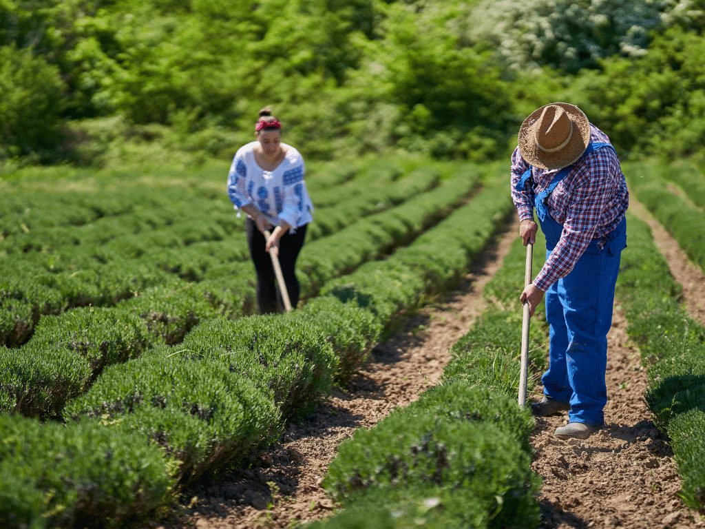 Aplicativo gratuito da Embrapa ajuda a planejar barragens no semiárido, o GuardeÁgua