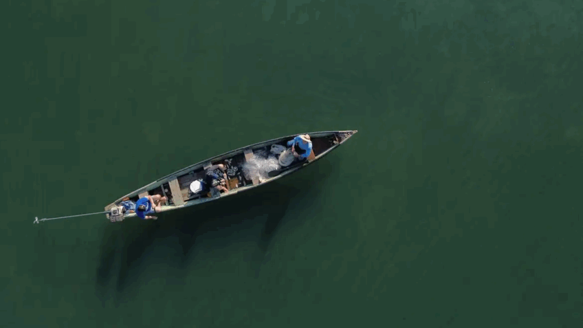 Pescadores profissionais têm até 31 para comprovar atividade