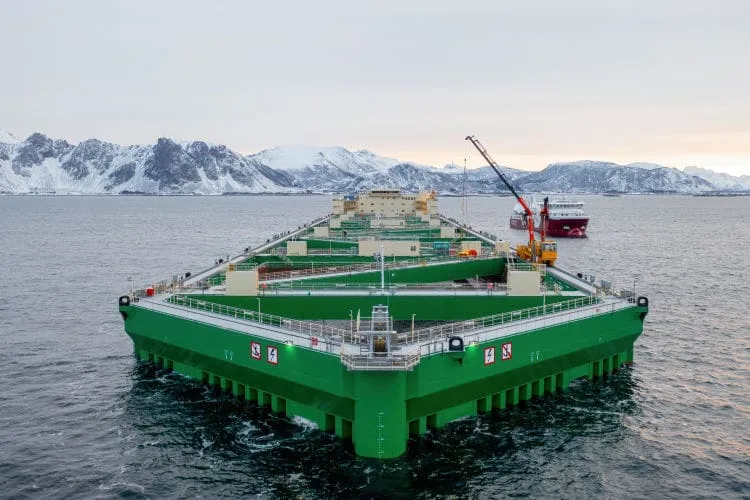 Conheça a maior fazenda oceânica que cria 10.000 toneladas de salmão; vídeo