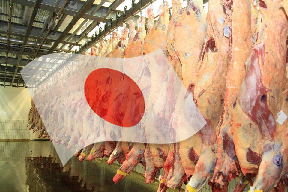 Japão fará auditoria sanitária para carne bovina brasileira em 2026