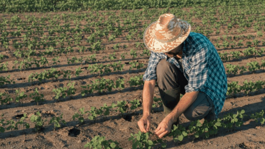 Projeto Lagos do São Francisco resultou em R$ 20,5 milhões em benefícios sociais