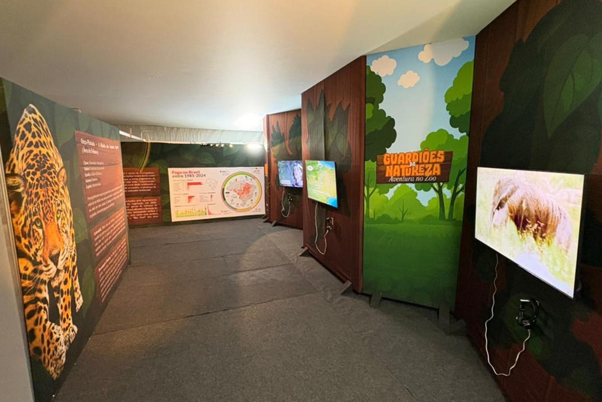 Oficinas infantis, teatro, férias no zoo e mais: o que fazer no DF