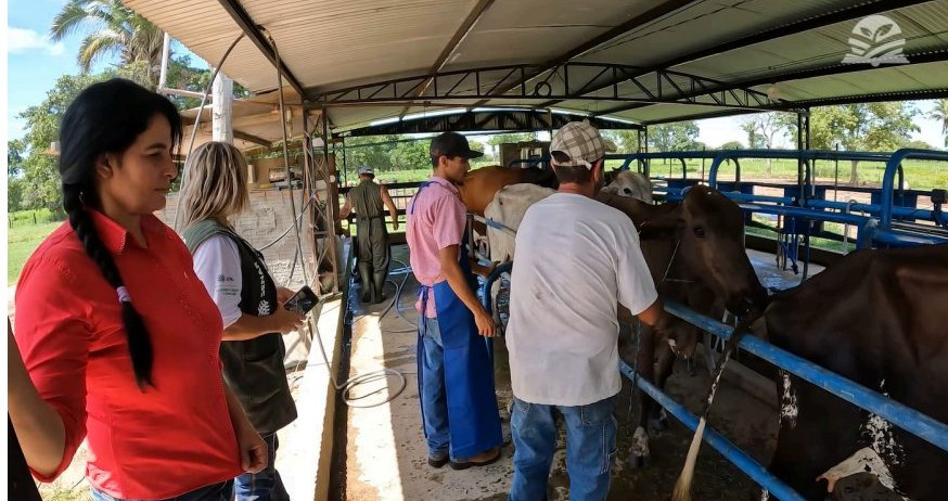 Ex-costureira investe na produção de leite e vira referência em Mato Grosso