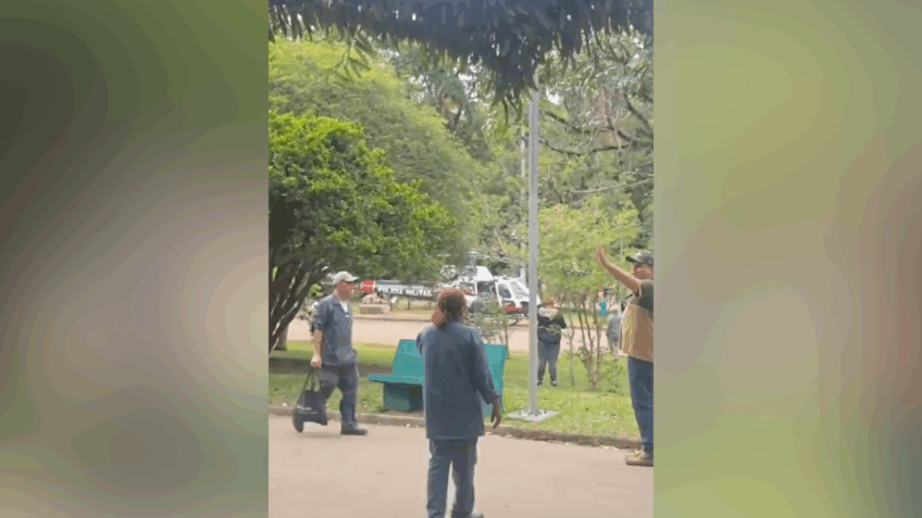 Árvore cai e fere 3 pessoas no Parque Ibirapuera em São Paulo