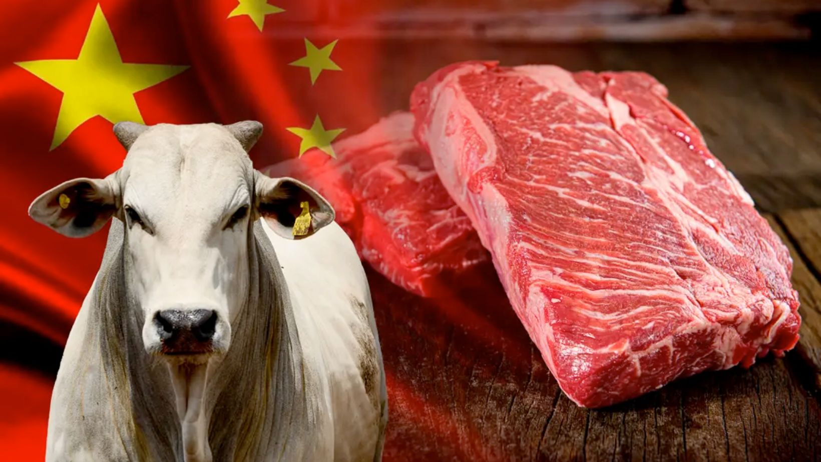 Marcos Jank: China exagerou na dose na salvaguarda à carne bovina do Brasil