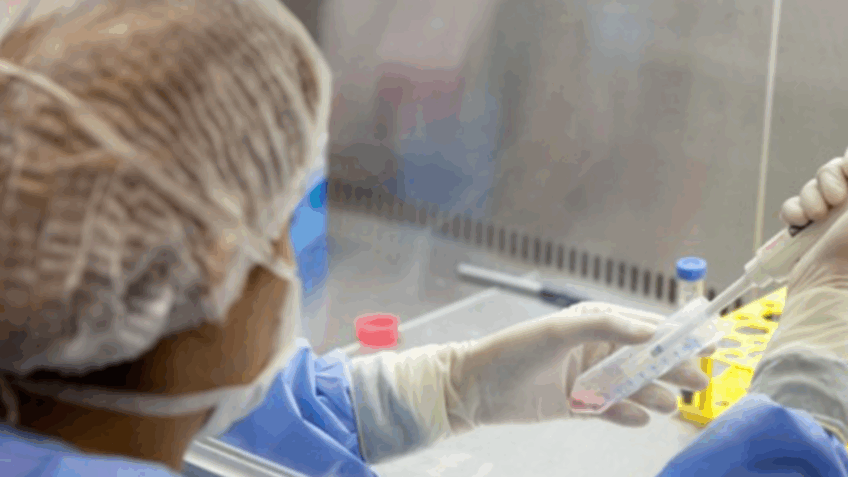 Anvisa autoriza teste de polilaminina em pacientes com lesão medular