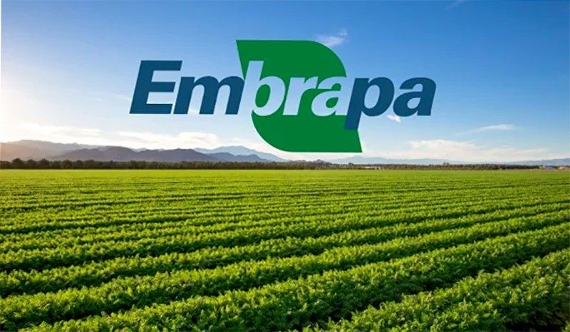 Embrapa alcança nível de excelência em todos os indicadores da Sest