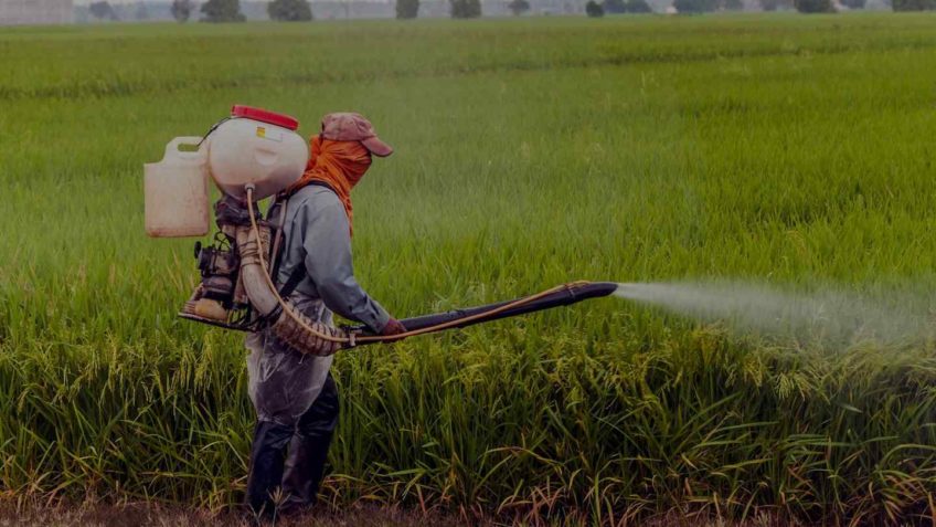 França proíbe importação de alimentos com pesticidas proibidos pela UE