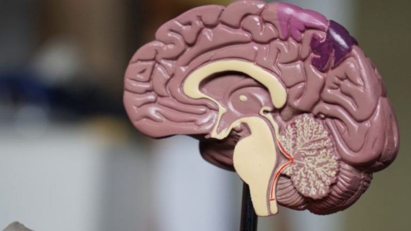 Anvisa libera medicamento para fase inicial do Alzheimer