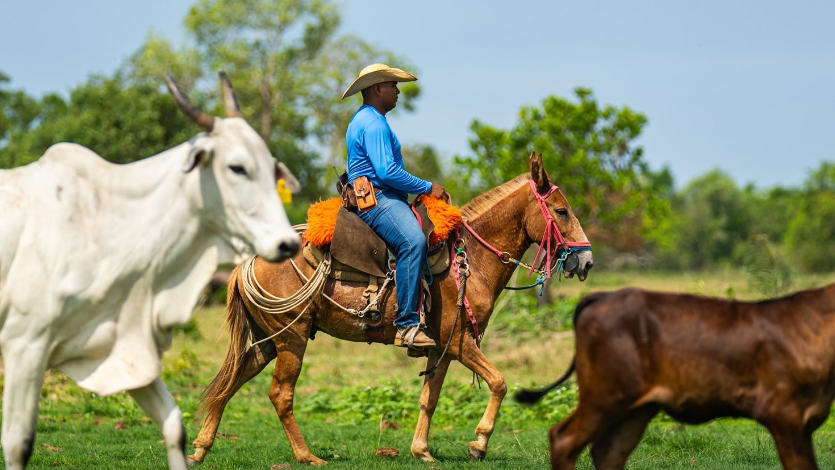 Contra a maré: quando taxação é taxação — e subsídio continua sendo subsídio