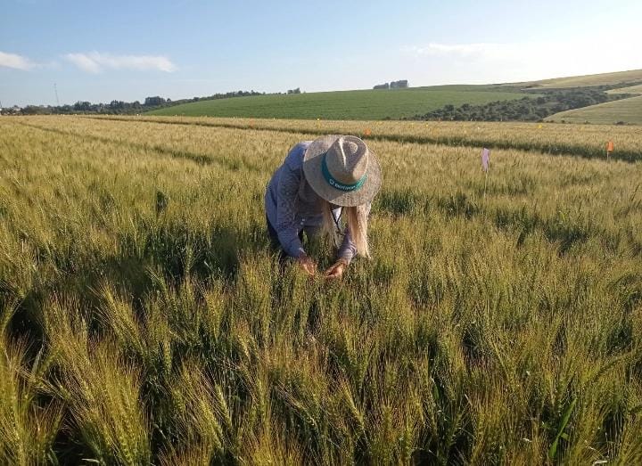 Biotrop assume controle da divisão BioWorks, parte do grupo BiopFirst