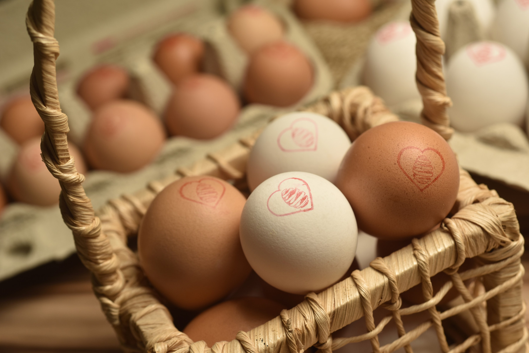 Ovos/Cepea: Preço inicia 2026 em forte queda