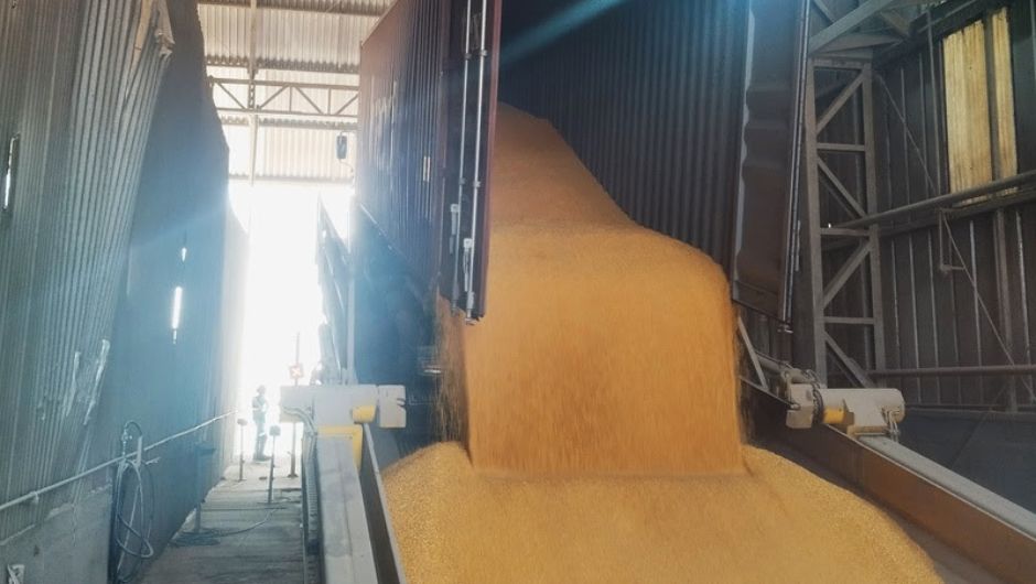 Transporte ferroviário de grãos nos EUA diminui 14% na semana encerrada em 27/12