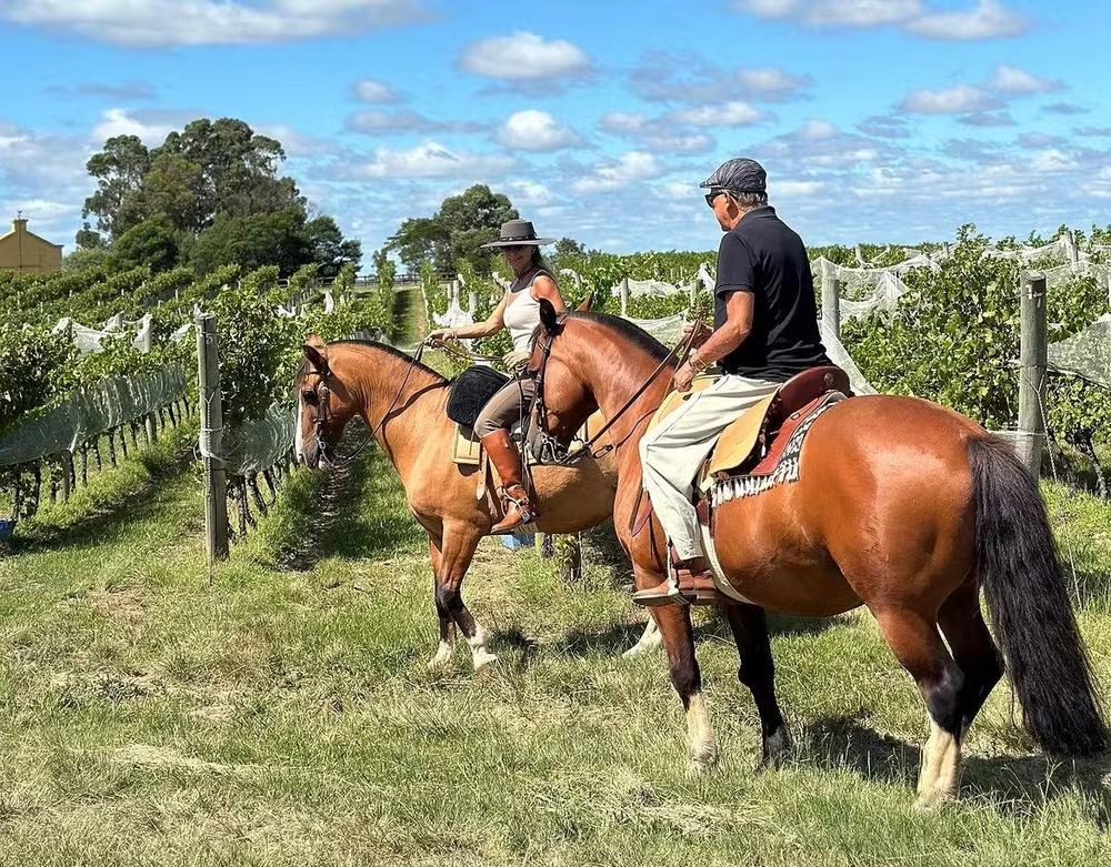 Conheça a fazenda de Galvão Bueno, um dos maiores nomes da vitivinicultura no Hemisfério Sul