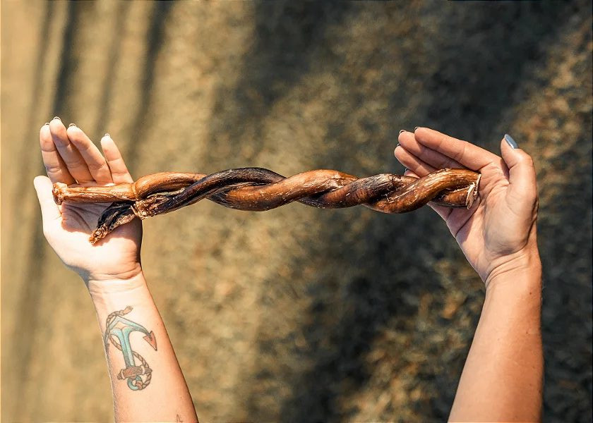 Além dos cortes nobres, pecuária de MT lucra com a venda de pênis bovino no mercado asiático
