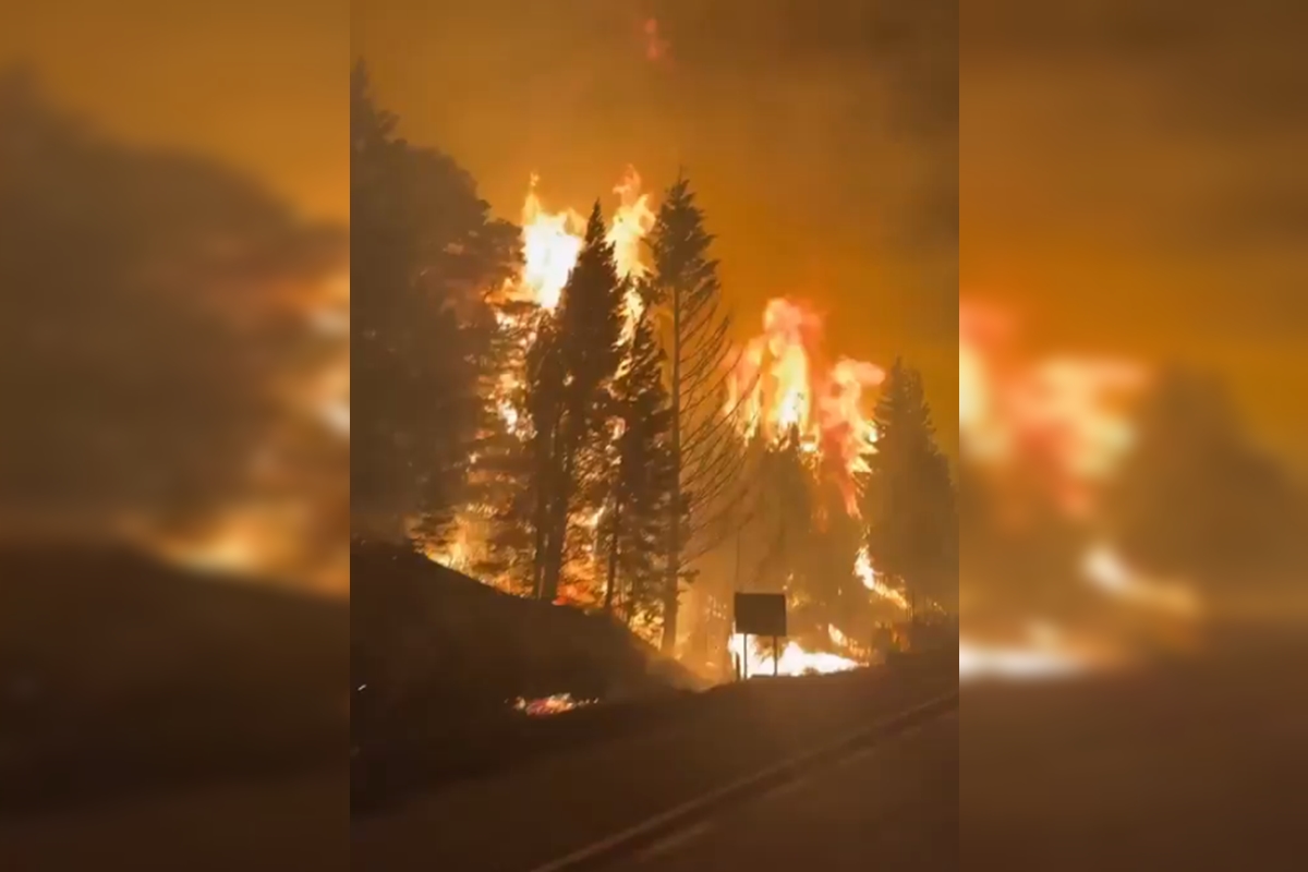 Incêndios florestais destroem 5.500 hectares na Patagônia argentina