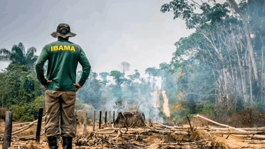 STF definirá quem julga crimes contra espécies ameaçadas