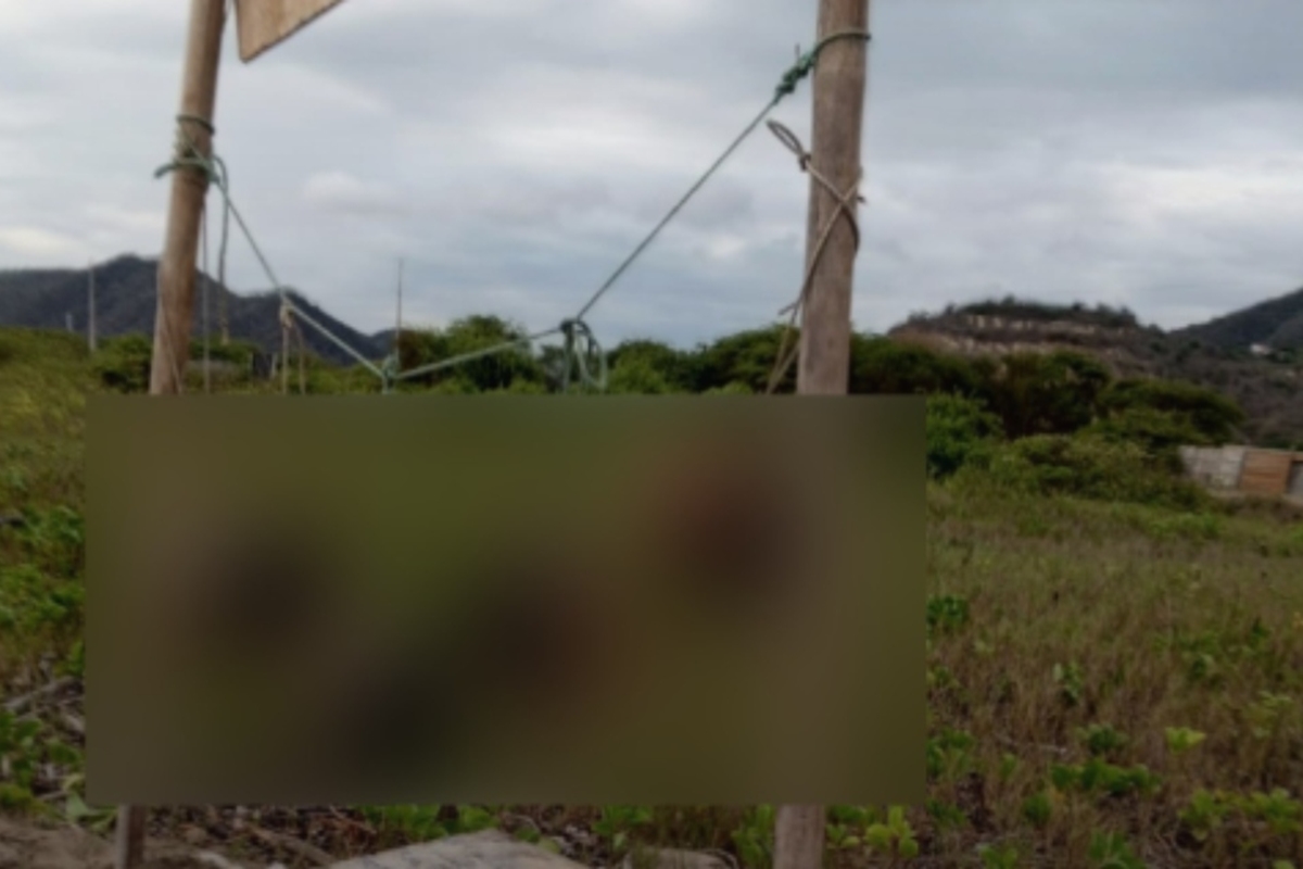 Cinco cabeças humanas são encontradas penduradas em praia no Equador