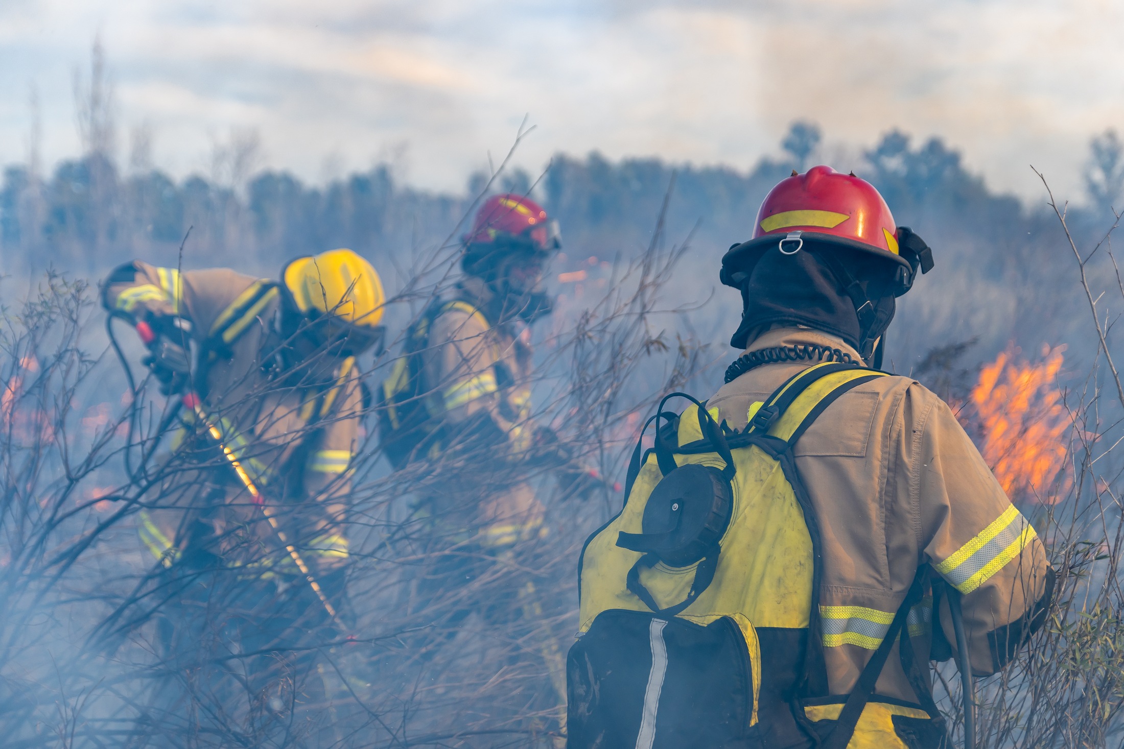 Incêndios na Patagônia argentina destroem mais de 15 mil hectares