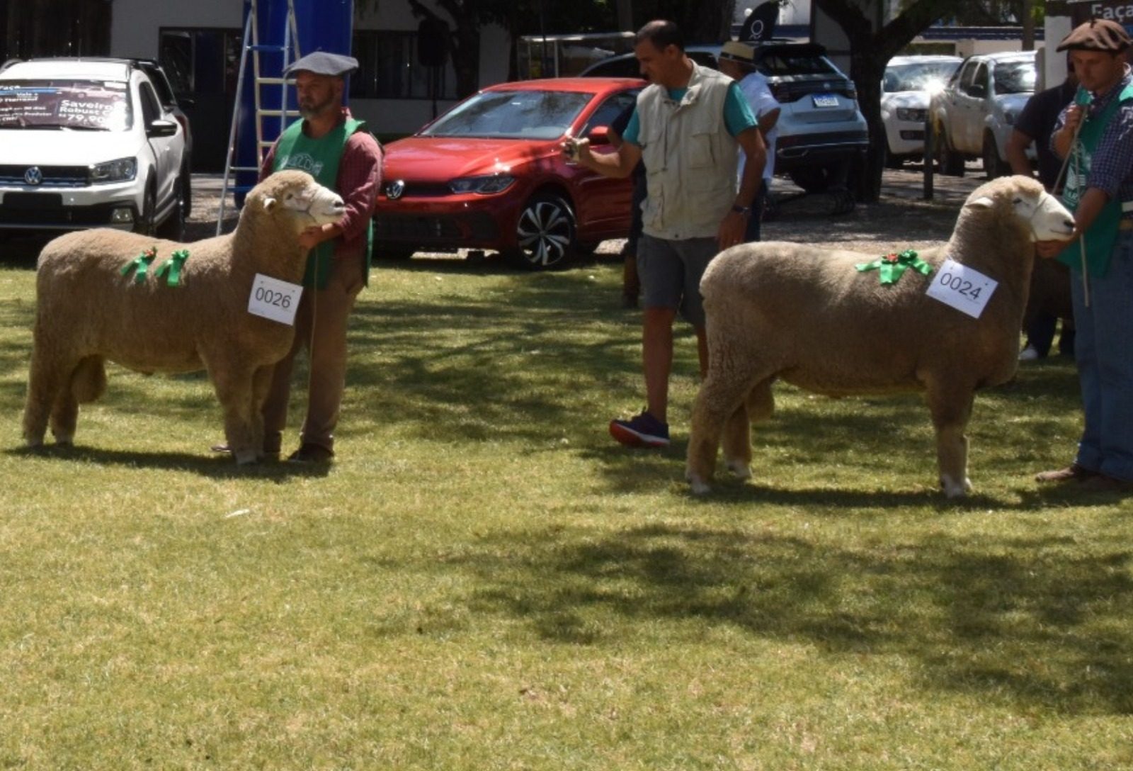 Recorde de animais inscritos marca a 18ª edição da Agrovino