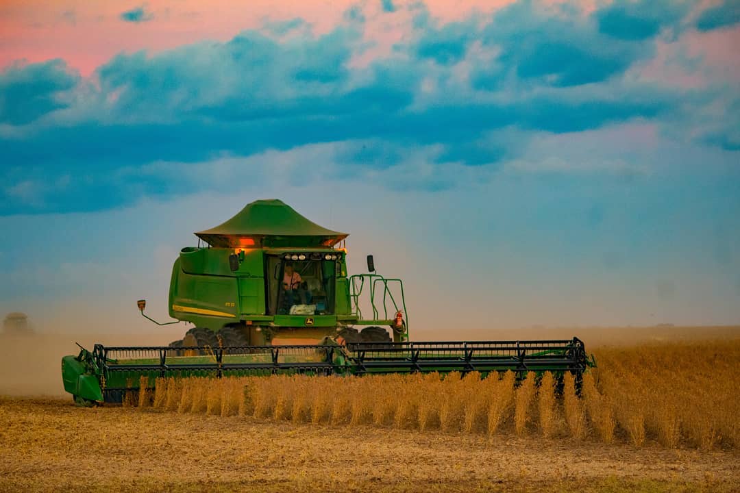 USDA eleva estimativa de produção de soja no Brasil em 2025/26 a 178 milhões de t