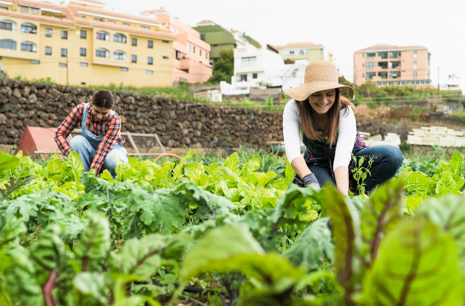 Valorização da mulher no agro