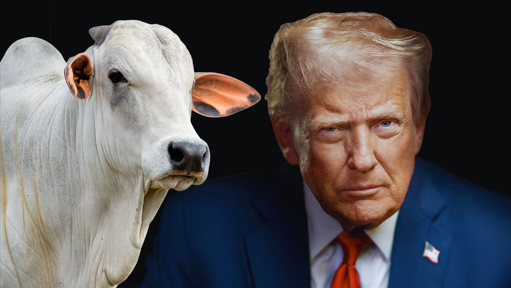 Nova tarifa de Trump contra o Irã coloca exportações brasileiras em alerta