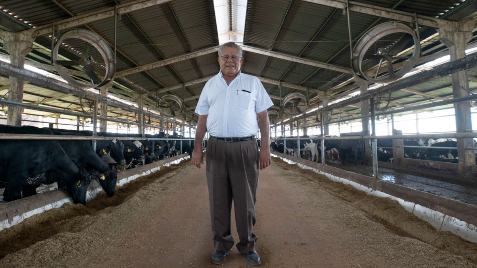 Pecuária leiteira perde grande referência do melhoramento genético no país