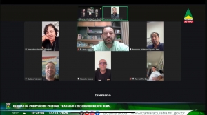 Comissão de Agricultura debate desenvolvimento das regiões rurais e fortalecimento da economia